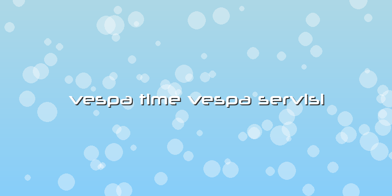 Vespa Time Vespa Servisi