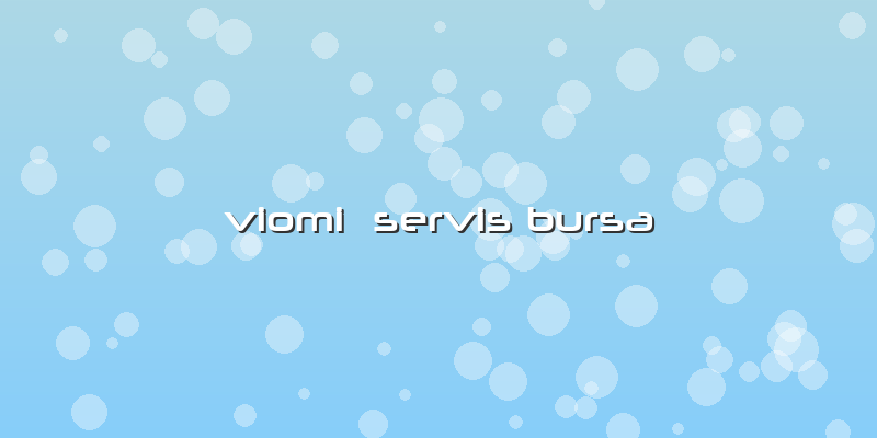 Viomi  Servis Bursa