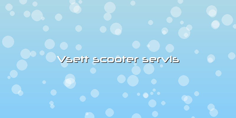 Vsett Scooter Servis