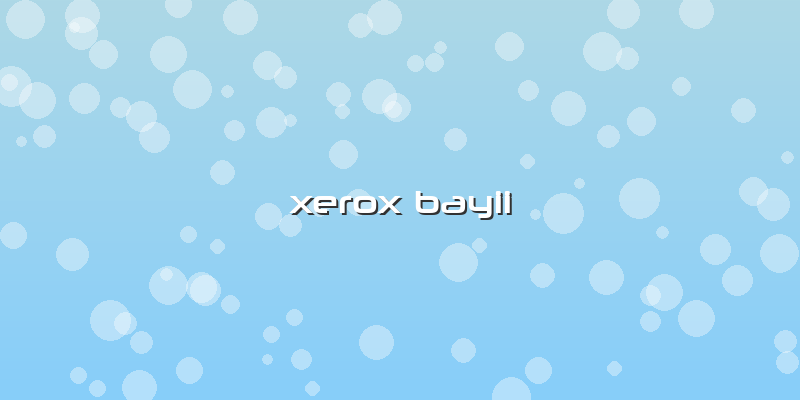 Xerox Bayii