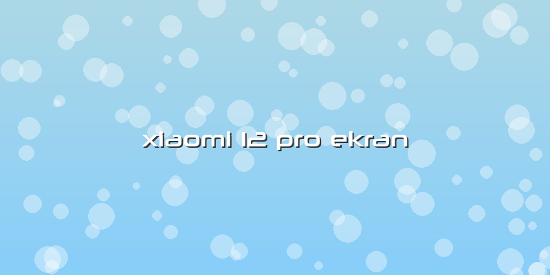 Xiaomi 12 Pro Ekran