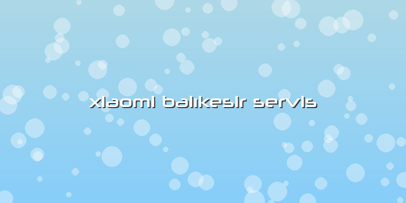 Xiaomi Balıkesir Servis