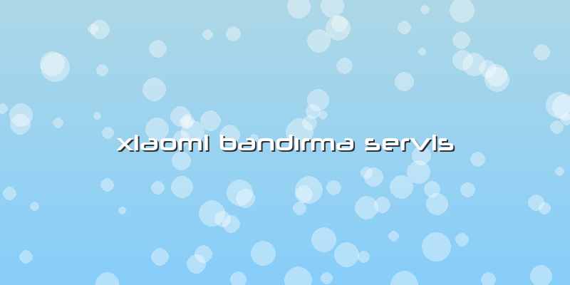 Xiaomi Bandırma Servis