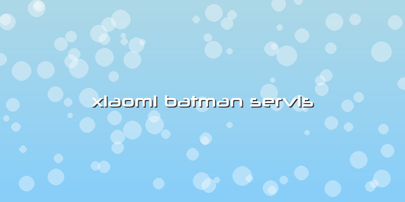 Xiaomi Batman Servis
