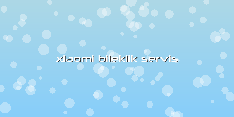 Xiaomi Bileklik Servis