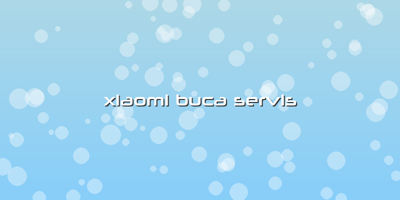 Xiaomi Buca Servis