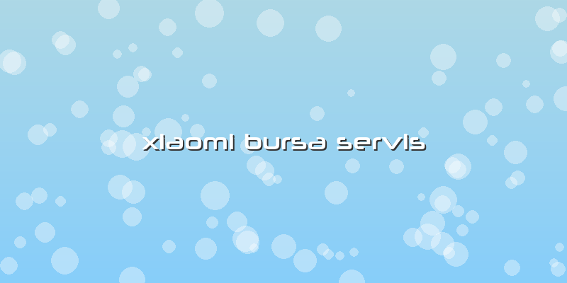 Xiaomi Bursa Servis