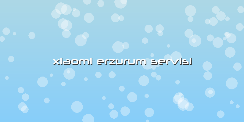 Xiaomi Erzurum Servisi