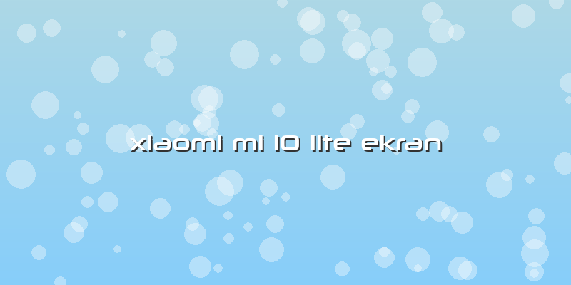 Xiaomi Mi 10 Lite Ekran
