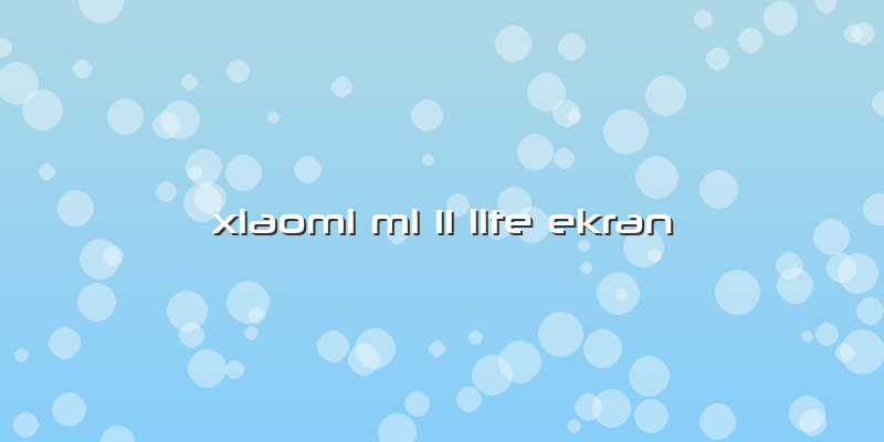 Xiaomi Mi 11 Lite Ekran