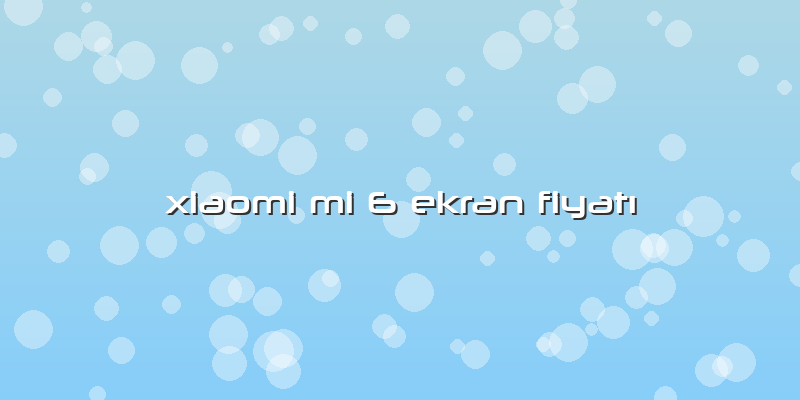 Xiaomi Mi 6 Ekran Fiyatı