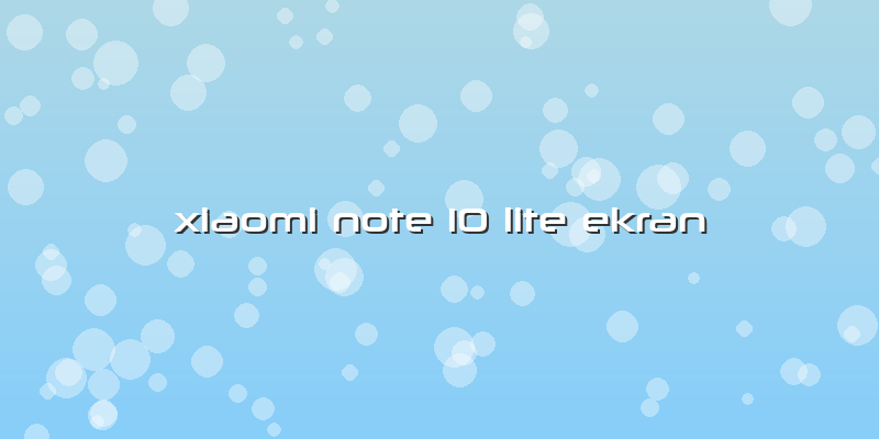 Xiaomi Note 10 Lite Ekran