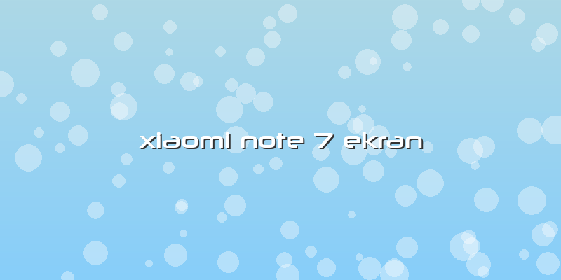 Xiaomi Note 7 Ekran