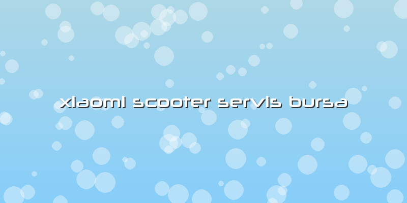 Xiaomi Scooter Servis Bursa