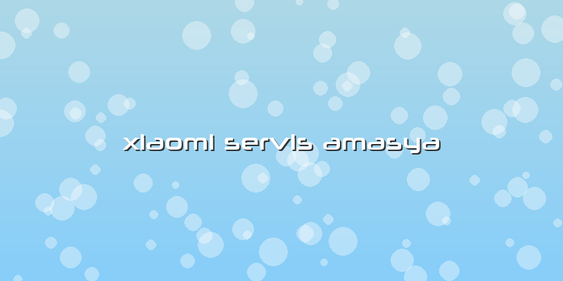 Xiaomi Servis Amasya