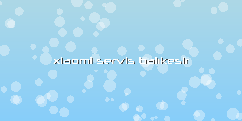Xiaomi Servis Balıkesir