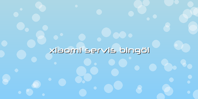 Xiaomi Servis Bingöl