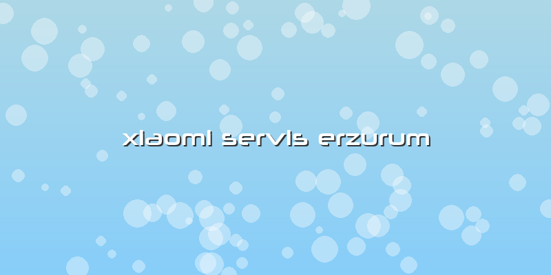 Xiaomi Servis Erzurum