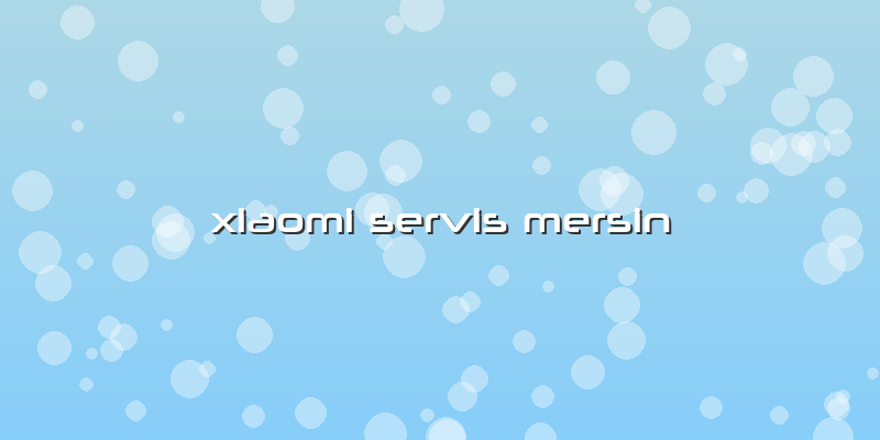 Xiaomi Servis Mersin