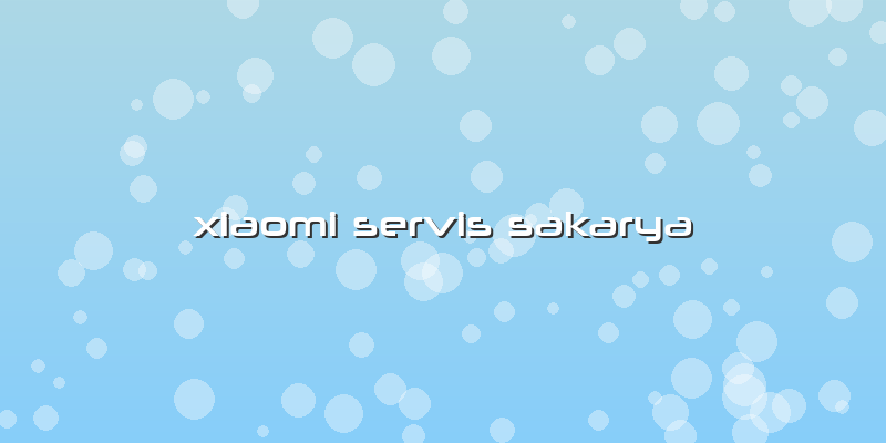Xiaomi Servis Sakarya