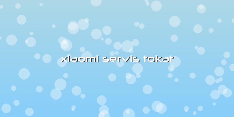 Xiaomi Servis Tokat