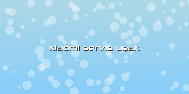 Xiaomi Servis Uşak