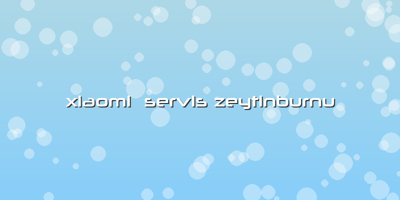 Xiaomi  Servis Zeytinburnu