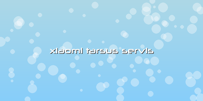 Xiaomi Tarsus Servis