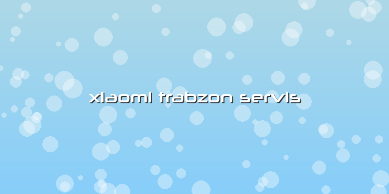 Xiaomi Trabzon Servis
