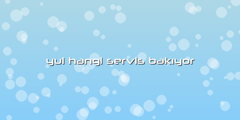 Yui Hangi Servis Bakıyor